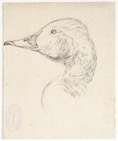 KT 2009 028-430
<br/>
Eenden- of ganzenkop
<br/>
<em>Trigt, Stephanus Hendrik Willem van (1790-1840)</em>